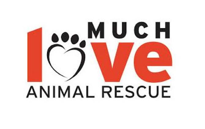 Much Love Animal Rescue
