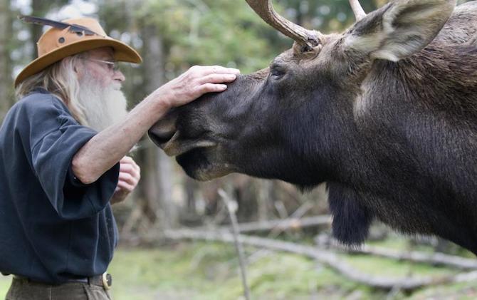 Save Pete the Moose!