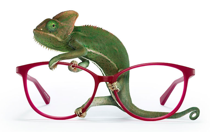 Eco Friendly Eyewear…