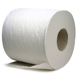 could you live for a year without toilet paper?