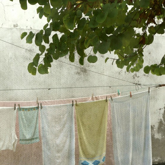 make your own laundry detergent!