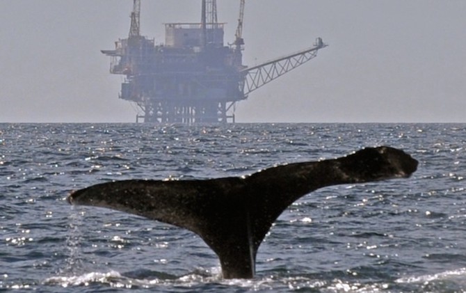 Halt Offshore Fracking