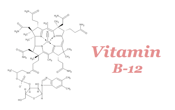 The Run Down on Vitamin B-12