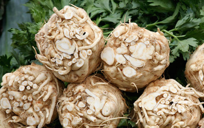 Veg Out: Excited About Cauliflower and Celery Root