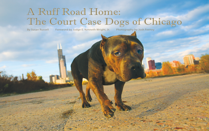 A Ruff Road Home Now On Shelves!
