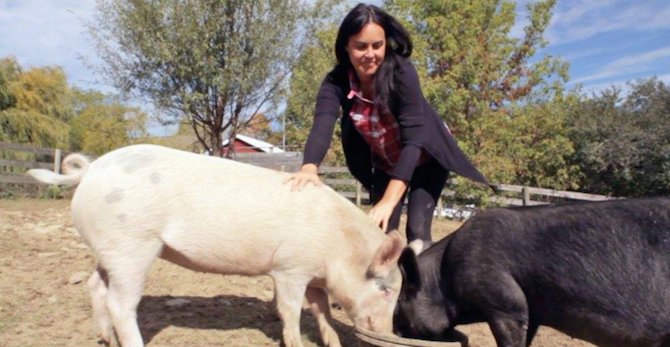 Tracey & Jon Stewart’s Animal Rescue Farm