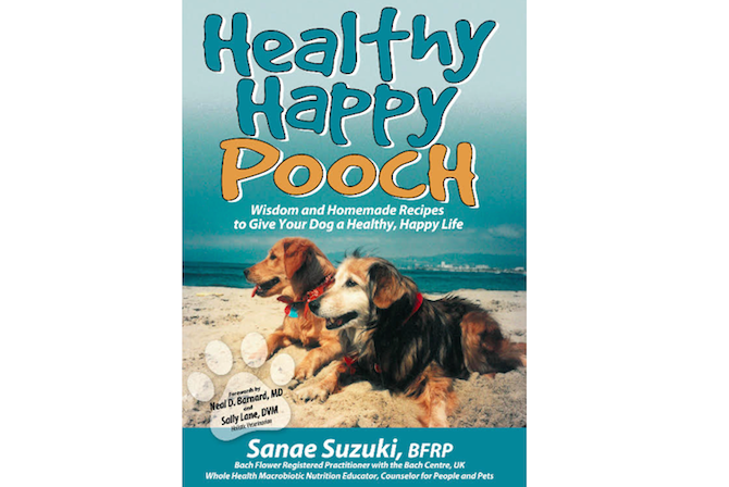 Sanae Suzuki’s Happy Healthy Pooch