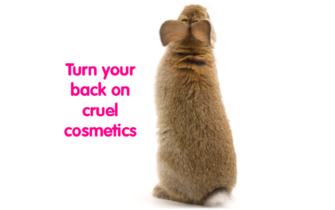 Three States Aim to End the Sale of Cruel Cosmetics
