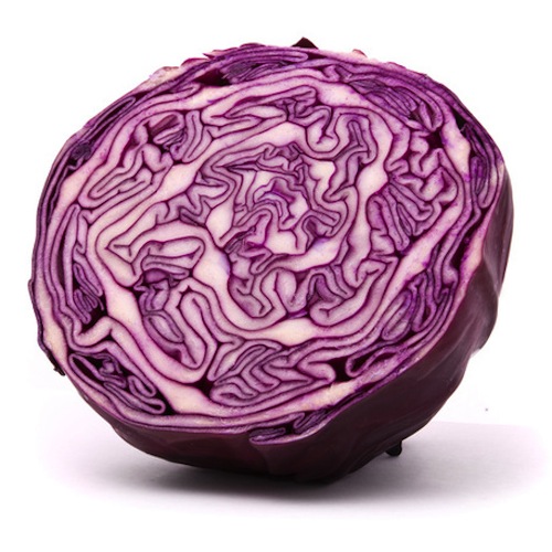 Red Cabbage, Apple, and Carrot Slaw with Ginger