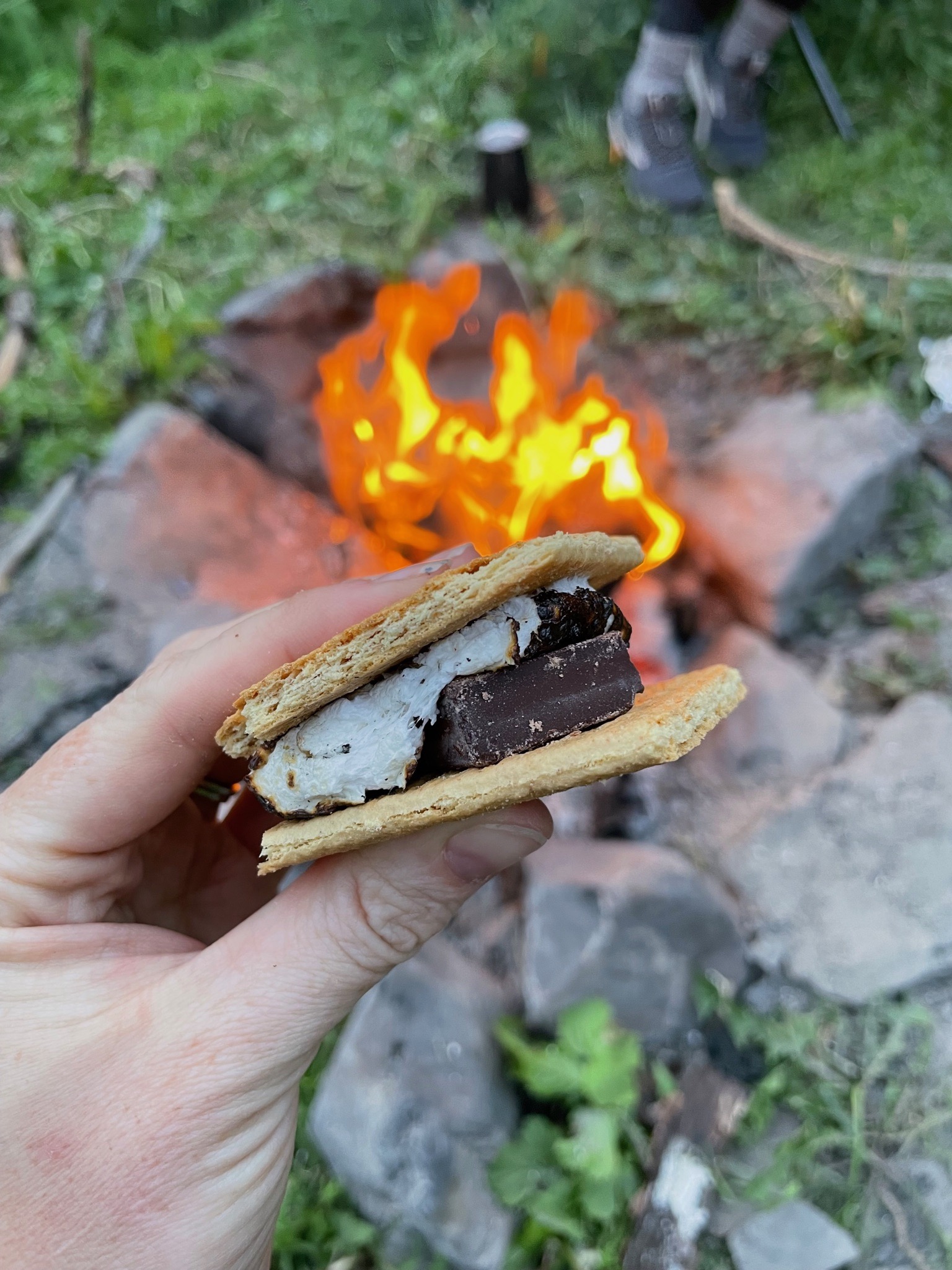 The Best Vegan Camping Food Tips: Plus, S’Mores Done Right
