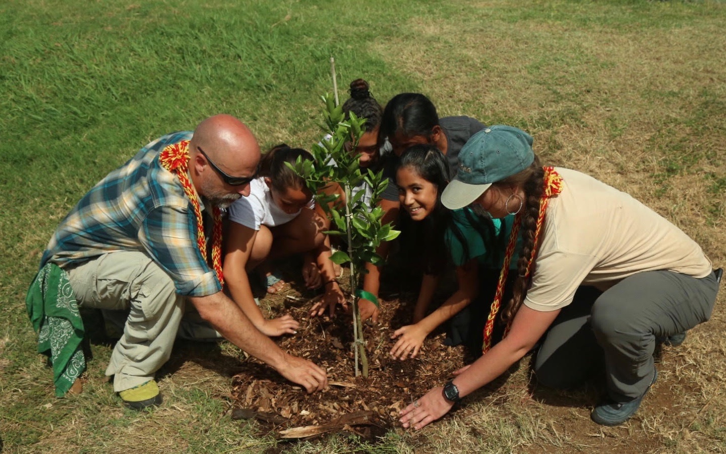 FTPF tree planting | Courtesy