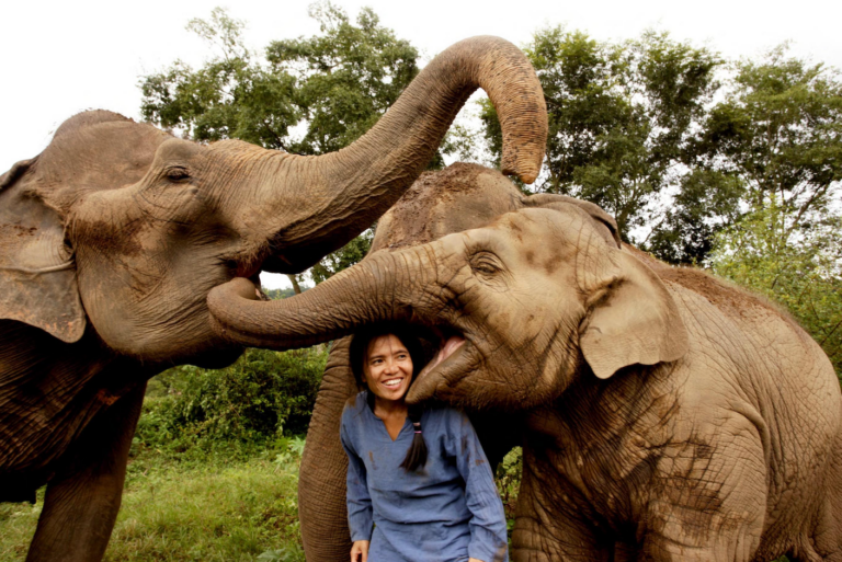 Saengduean Lek Chailert and her elephants | Courtesy