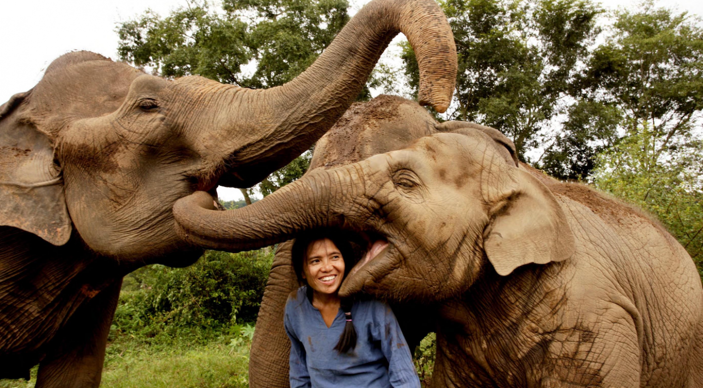 Saengduean Lek Chailert with elephants.