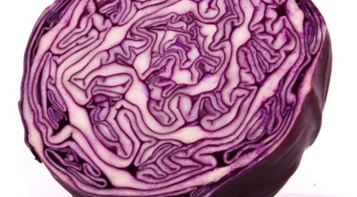Red_Cabbage-3