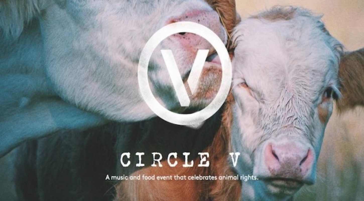 circle_v_music_festival