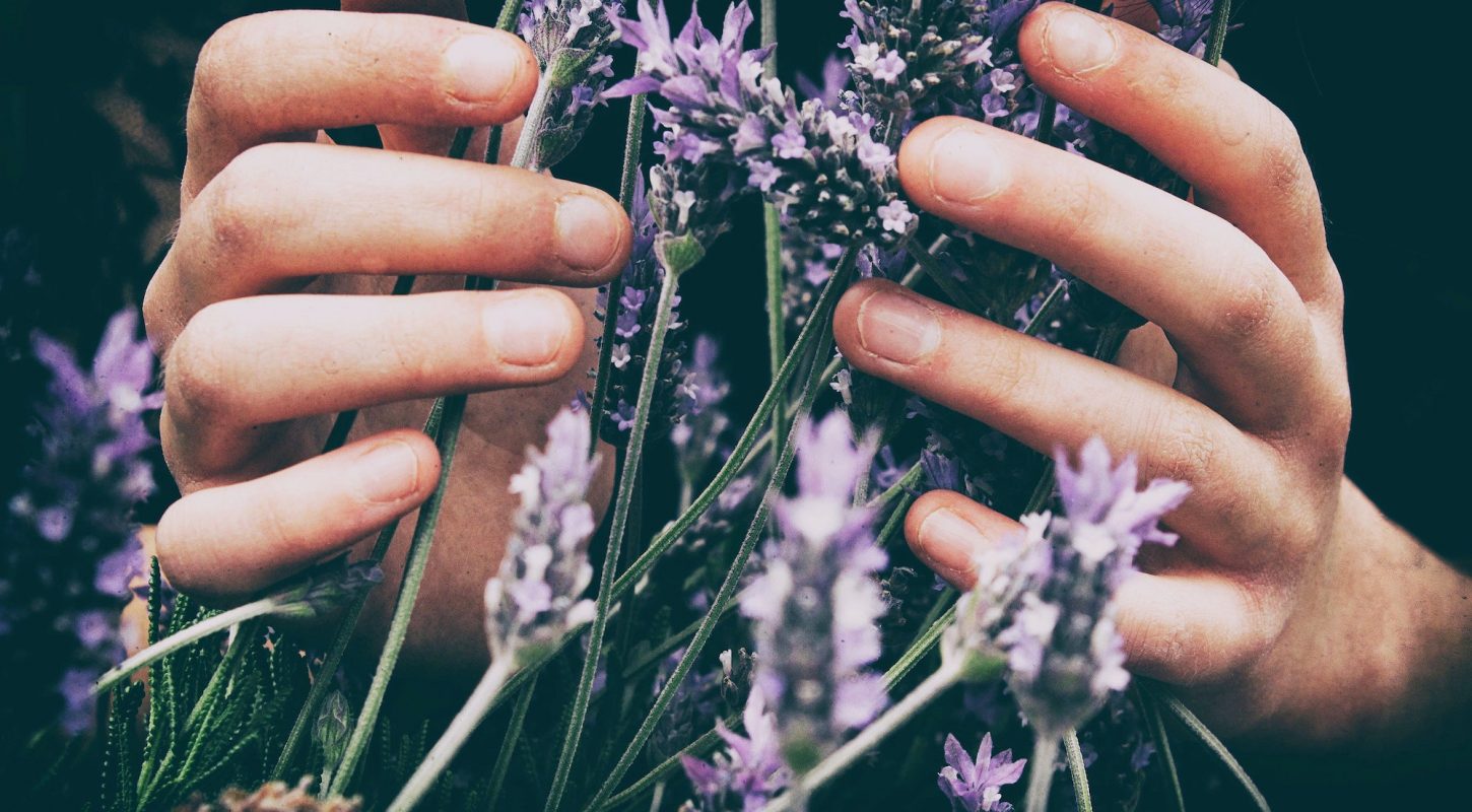 lavender-kind-life