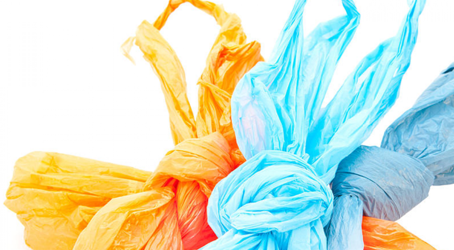 LA Bans Plastic Bags | The Kind Life